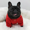 Customized             pet dog clothes autumn and winter clothes down jacket French fighting bully small and medium-sized dogs winter plus plush thickening