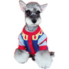 Pet trendy brand autumn and winter clothes Teddy Bichon Fadou Schnauzer clothes Christmas Snow White dog clothes