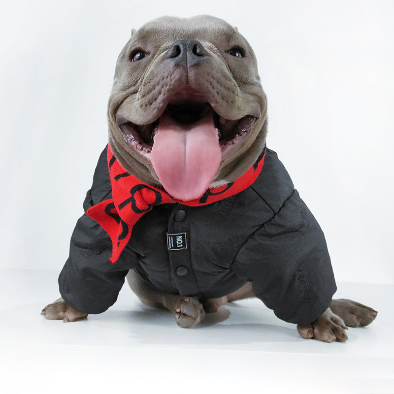 Customized             pet dog clothes autumn and winter clothes down jacket French fighting bully small and medium-sized dogs winter plus plush thickening