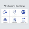 Nas Cloud A1 Hard Disk/SSD/Pendrive 256MB LPDDR Private Storage Cloud Network Storage Home Pensonal Storage Cloud Office Storage Cloud