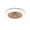 36W Modern LED Ceiling Light Ceiling Fan with Lighting LED Light