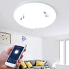 48W Smart WiFi Ceiling Lamp Voice Control Remote Dimmable LED Ceiling Lights Memory Function Bedroom Home Ceiling Light 85V-265V