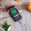 75Kg/10g Electronic Backlight Weighing Scale Portable Digital Fishing Postal Hanging Hook Scale with Measuring Tape