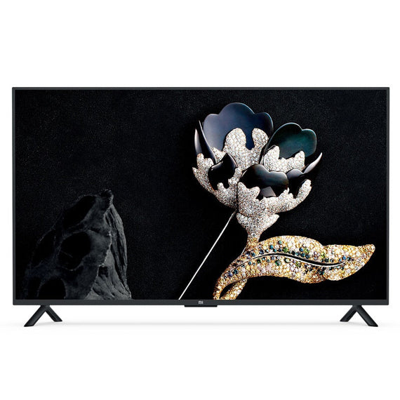 Flat Panel TV - 65 inches