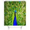 Simulation 3D Colourful Animals Waterproof Shower Curtain Drapes of Bathroom Toilet with Hooks