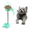 Pet Cat Treat Food Dispenser Ball Toy Interactive Treact Active Toys Activity Activit