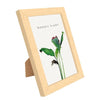 8 Inch Wooden Picture Frame Natural Eco Wood Photo Frame with High Definition Acrylic for Wall Hanging and Tabletop Photo Display