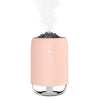 260ML Mist Humidifier Diffuser Portable Night Light Quiet Leakproof Humidifier