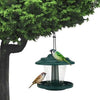 Outdoor Hanging Wild Bird Feeder