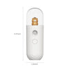 Nano Facial Mister 20mL Face Humidifier Face Sprayer USB Rechargeable Handy Mist Sprayer