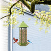 Panorama Bird Feeder