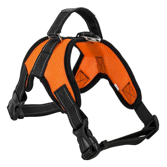 Heavy Duty Dog Nylon Adjustable Pet Harness Collar - Orange