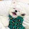 Knitted Dog Leopard Sweater  Small Dog Pet Dog Cat Clothes Spend quality time with your pet